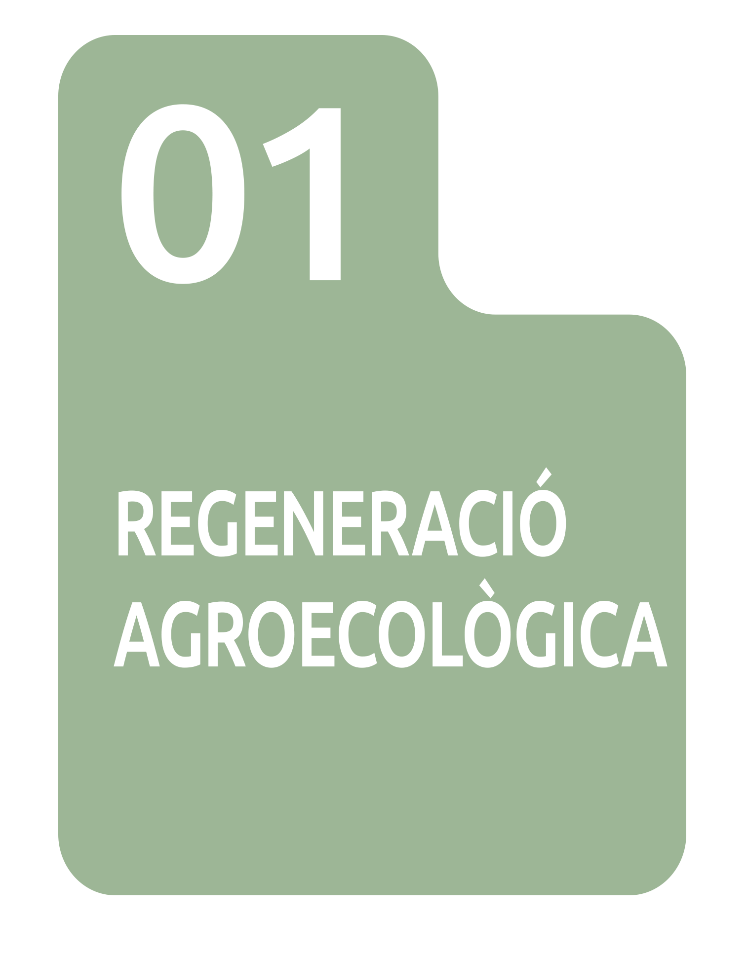 regeneracio-alianca-mar-terra